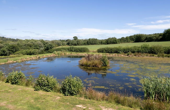 The Duck Pond - Countryside Hot Tub - Foto 29