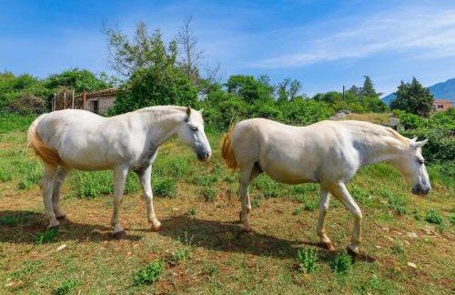 Holiday Home Gverino by Interhome - Foto 63