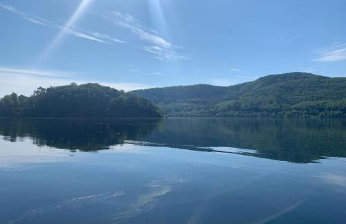 Sehr schöne ufernahe ebenerdige Ferienwohnung Pura Vida auf der Halbinsel Scheid - Foto 1