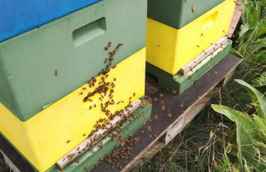 Ferienwohnung Wiesenweg - Foto 11