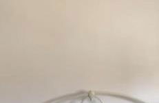 Villa Casa Familia Thijssen - Foto 29