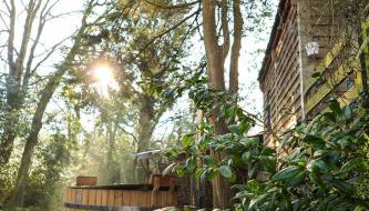 The Beech Hut, Wood Fired Hot Tub, St Kew Escapes - Foto 3