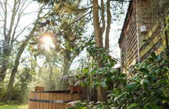 The Beech Hut, Wood Fired Hot Tub, St Kew Escapes - Foto 3