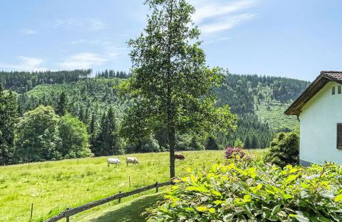 Holiday Home Black Forest Hideaway by Interhome - Foto 31