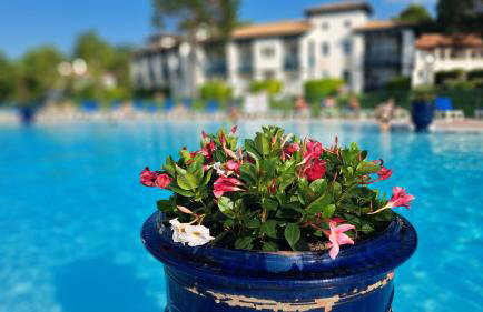 Domaine de Bordaberry - Jardin & superbe piscine - Photo 64