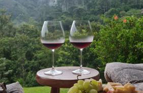 Casa de campos são Francisco Xavier Xavier - Foto 50