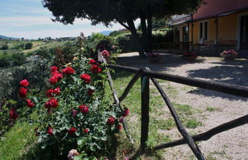 Le Storie di Bambu - Foto 29