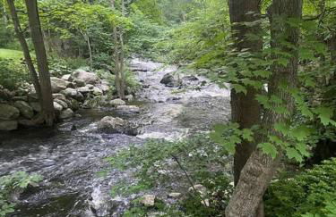 Modern, Cozy Hudson Valley Escape 1 Hr From NYC - Foto 21