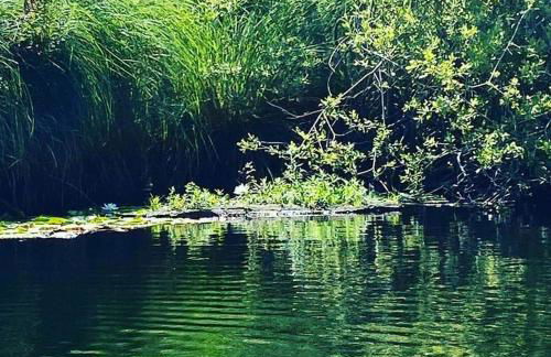 villa taro - Foto 39