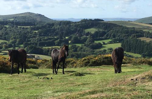 WebberHillFarmCottages - Foto 20