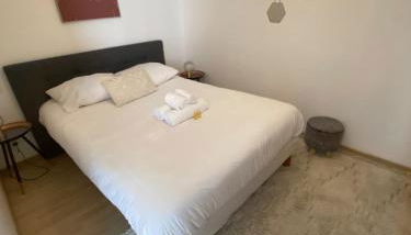 Cozy atmosphere 4pers near Eurexpo GroupamaStadium - Foto 4