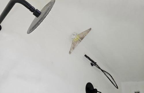 Metochi Olokalon, Sidonia - Foto 22