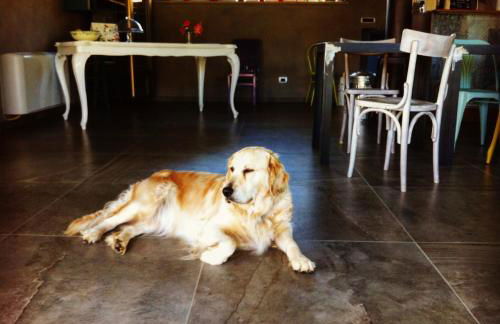 Agriresort Villa Gelso - Pet Friendly & Adults Only - Foto 88