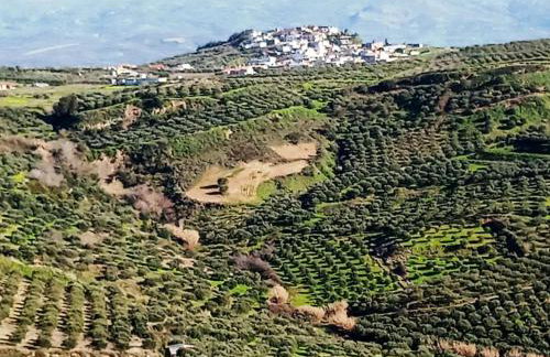 Traditional Creta stone house in serenity village - Foto 74