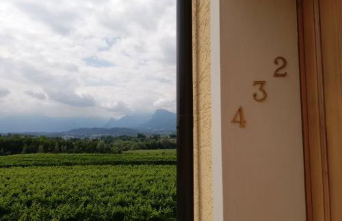 Agriturismo Villa di Modolo - Cortile della Latteria - Foto 46