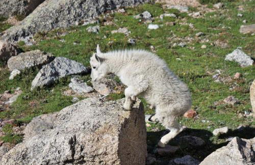 Amazing 3200Sq ft Upgrade Log Cbn GameRoom HotTub - Foto 44