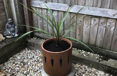 Coastal Village Cottage - Foto 24