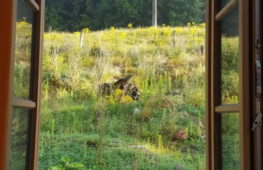 Sunhill Appartments, klimatisiert - Foto 27