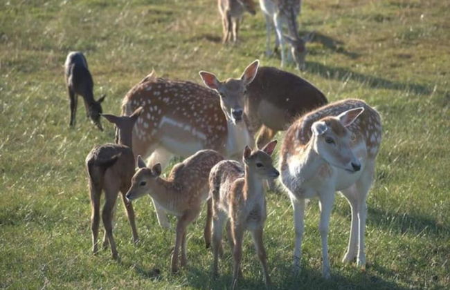 Apartment in Ubachsberg Near Scenic Trails - Photo 27