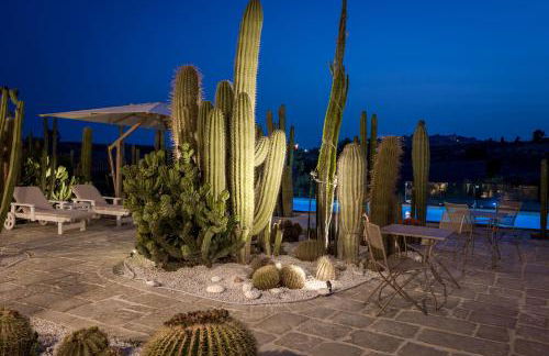 Garden Cactus - Foto 26