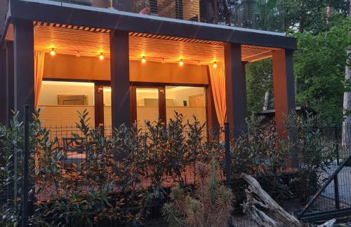 Czarna Perła - Foto 21