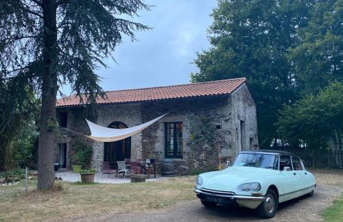 Chateau de la Preuille Gites - Foto 39