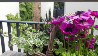 Die Französin - Ingo Telschow & Catherine Tempier Gbr - Foto 2