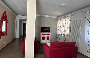 La Tillanzia - Foto 21