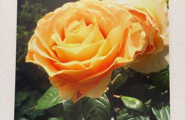 Ferienwohnungen Familie Sappl - Foto 11