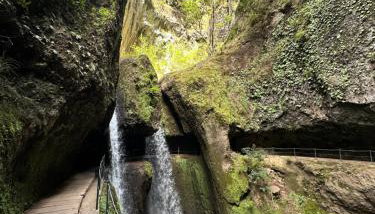 The House of Passos - Foto 4