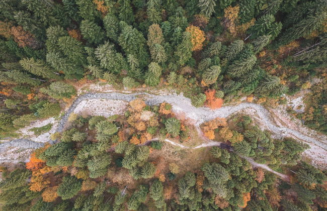 Agriturismo Girardelli - Foto 17