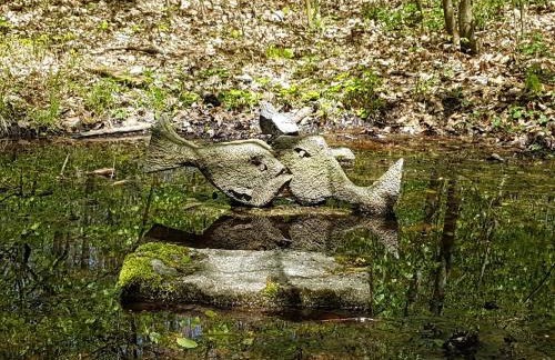 Sonnenhof, Ferienwohnung auf Reitanlage - Foto 48