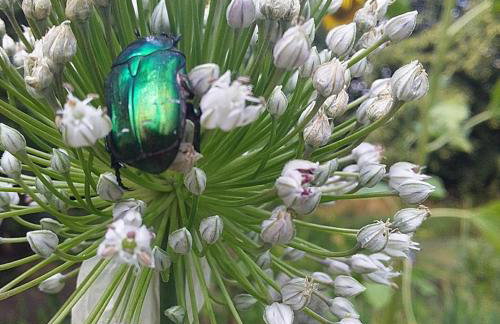 Uroczysko Ruczaj - Foto 14