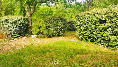 Domaine de Fayence - Foto 4