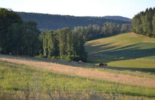 Zirbenholzwohnung Lochau - Foto 16