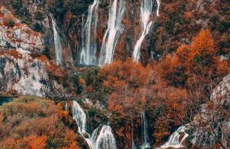 Apartman Swans - Foto 48