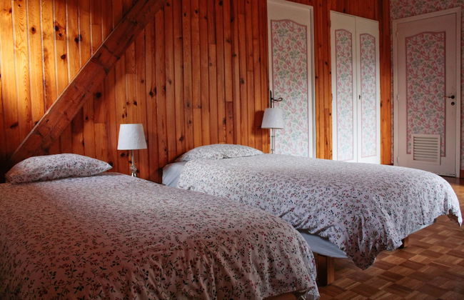 Tigre Blanc - Foto 5