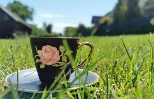 Agroturystyka Pasynki 44 - Foto 29