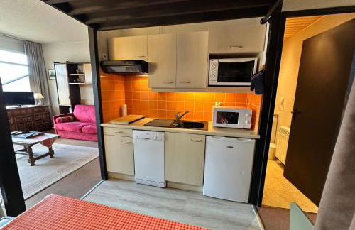 Studio cabine au pied des pistes à Villard de Lans, terrasse sud, parking gratuit - FR-1-515-106 - Foto 6