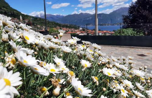 B&B Garzola - Foto 78