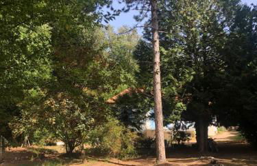 Grande maison familiale, calme, tranquille, 900 m de la plage - Foto 12