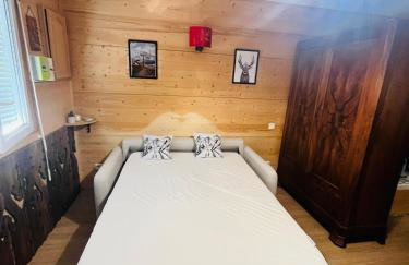 Babaute 7, studio typique au pied des pistes - Foto 3