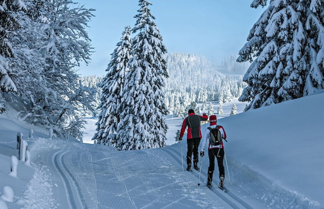 Chalet in La Tzoumaz With Sauna Views - Foto 35