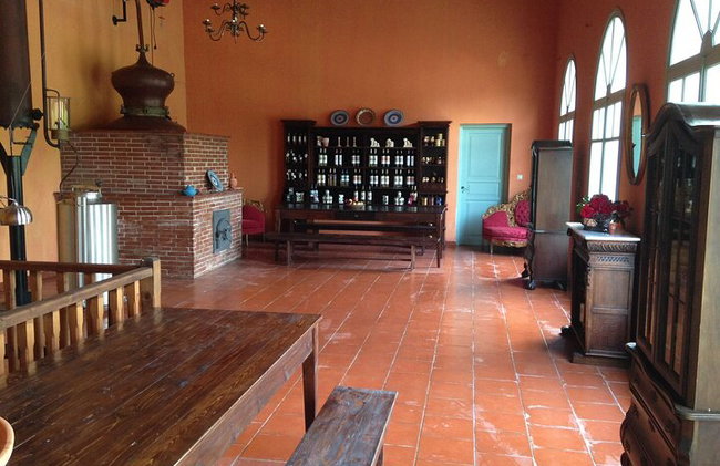 Degustación de vinos en Rodas, dentro de los viñedos con el productor. - Foto 6