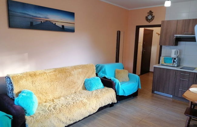 Apartamenty Sun & Snow Willa Hania - Foto 14