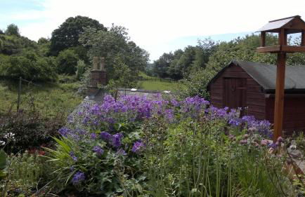 Hillside Cottage - Foto 16