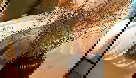 Zalle Oviedo Suites - Foto 2, Imagen principal