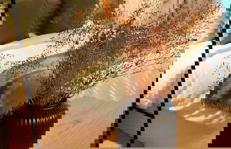 Zalle Oviedo Suites - Foto 1