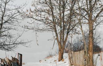 Drewniany Domek - Foto 24