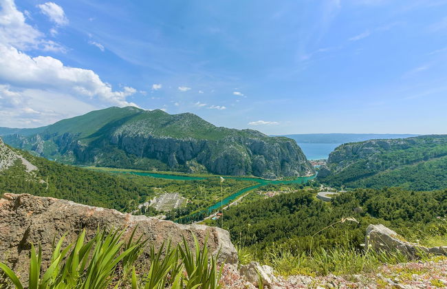 House Cattleya - Photo 37